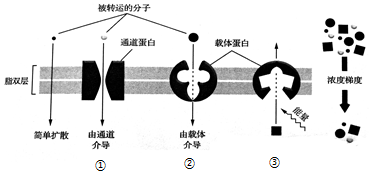 菁優(yōu)網(wǎng)