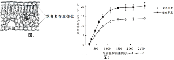 菁優(yōu)網