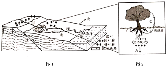 菁優(yōu)網