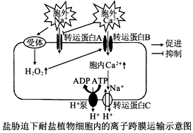 菁優(yōu)網(wǎng)