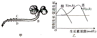 菁優(yōu)網(wǎng)