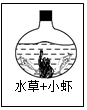 菁優(yōu)網(wǎng)