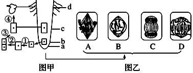 菁優(yōu)網(wǎng)