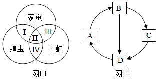 菁優(yōu)網(wǎng)