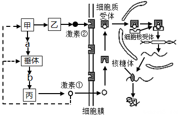 菁優(yōu)網(wǎng)