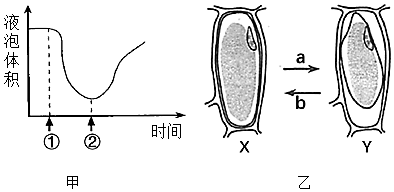 菁優(yōu)網