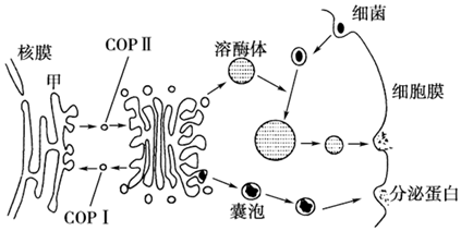 菁優(yōu)網(wǎng)