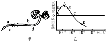 菁優(yōu)網(wǎng)