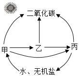 菁優(yōu)網(wǎng)