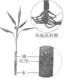 菁優(yōu)網