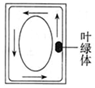 菁優(yōu)網