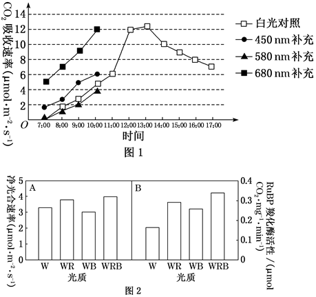 菁優(yōu)網