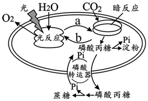 菁優(yōu)網