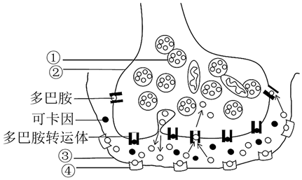 菁優(yōu)網