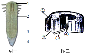 菁優(yōu)網(wǎng)