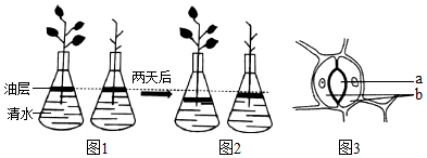 菁優(yōu)網(wǎng)