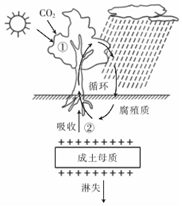 菁優(yōu)網(wǎng)