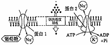 菁優(yōu)網(wǎng)