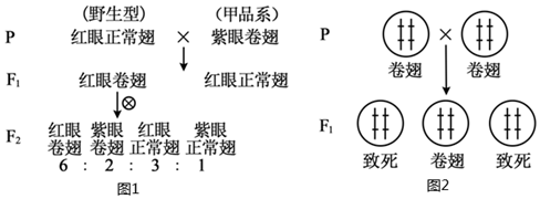 菁優(yōu)網