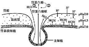 菁優(yōu)網