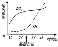 菁優(yōu)網