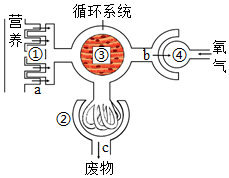 菁優(yōu)網(wǎng)