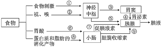 菁優(yōu)網(wǎng)