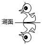 菁優(yōu)網(wǎng)