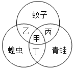 菁優(yōu)網(wǎng)