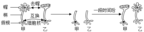 菁優(yōu)網