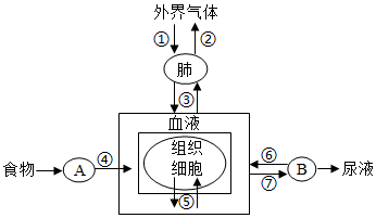 菁優(yōu)網(wǎng)