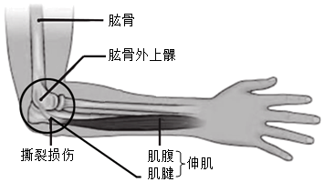 菁優(yōu)網