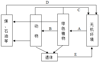 菁優(yōu)網(wǎng)