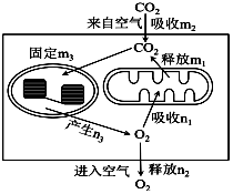 菁優(yōu)網(wǎng)