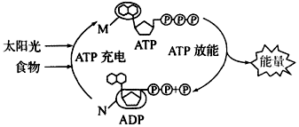 菁優(yōu)網(wǎng)