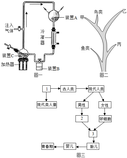 菁優(yōu)網(wǎng)