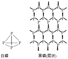 菁優(yōu)網