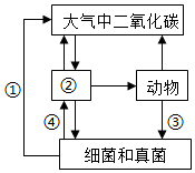 菁優(yōu)網(wǎng)