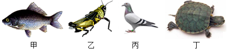 菁優(yōu)網(wǎng)