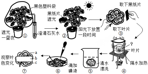 菁優(yōu)網