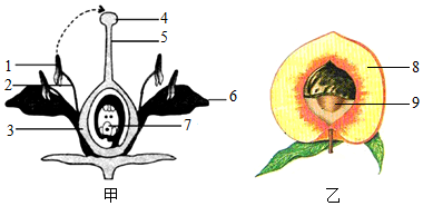 菁優(yōu)網(wǎng)