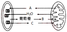 菁優(yōu)網(wǎng)