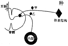 菁優(yōu)網