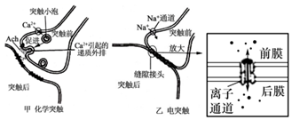 菁優(yōu)網(wǎng)