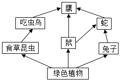 菁優(yōu)網(wǎng)