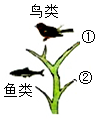 菁優(yōu)網(wǎng)