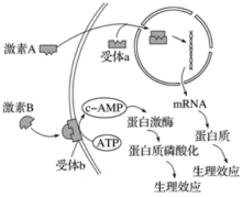 菁優(yōu)網