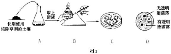 菁優(yōu)網