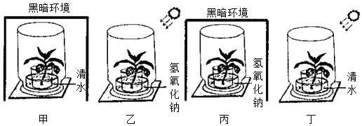 菁優(yōu)網(wǎng)