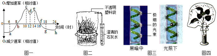 菁優(yōu)網